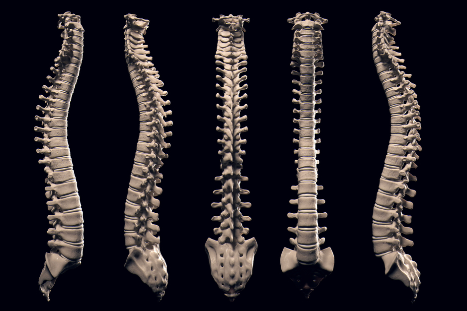 Full spine